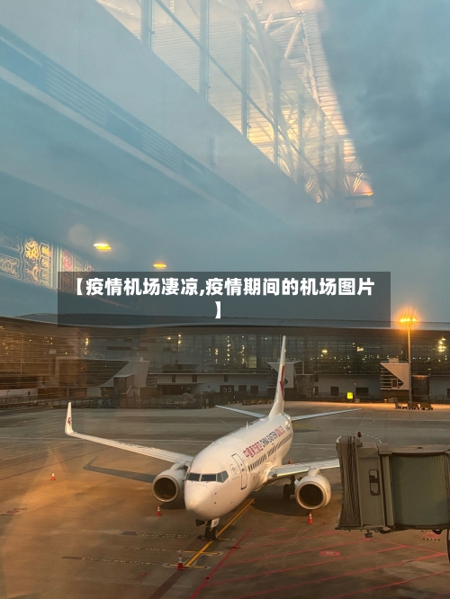 【疫情机场凄凉,疫情期间的机场图片】-第2张图片