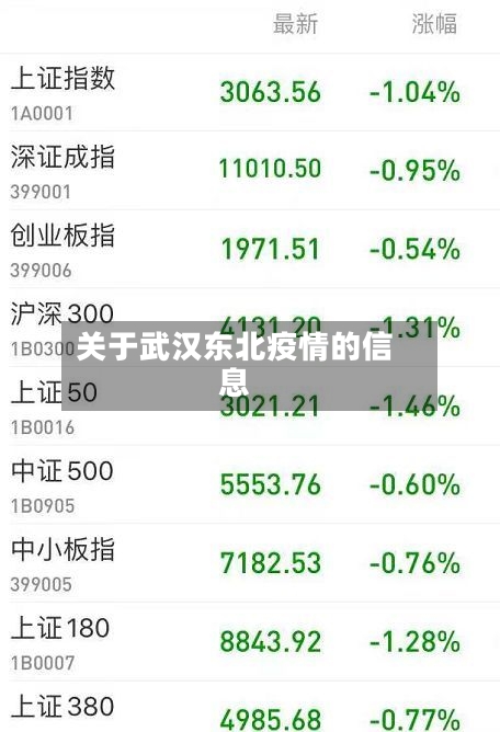 关于武汉东北疫情的信息
