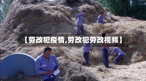 【劳改犯疫情,劳改犯劳改视频】