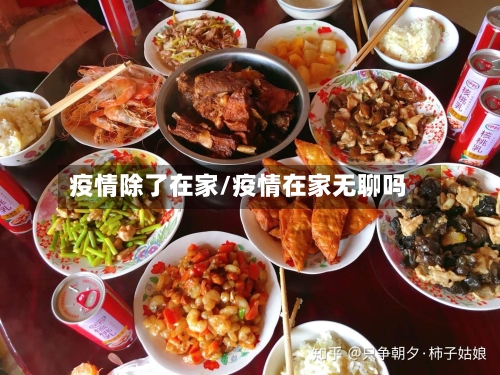 疫情除了在家/疫情在家无聊吗-第2张图片