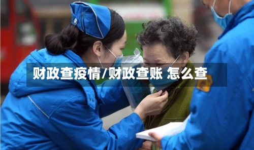 财政查疫情/财政查账 怎么查