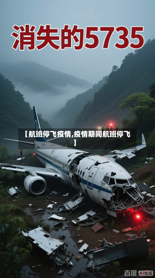 【航班停飞疫情,疫情期间航班停飞】