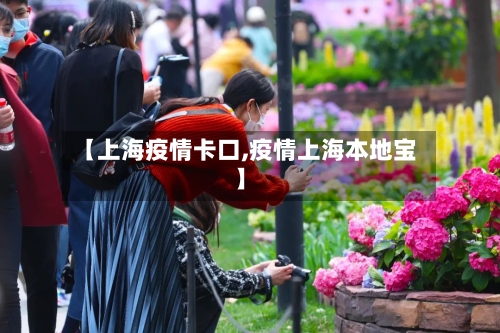 【上海疫情卡口,疫情上海本地宝】