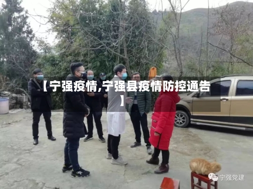 【宁强疫情,宁强县疫情防控通告】