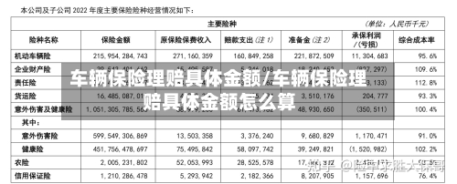 车辆保险理赔具体金额/车辆保险理赔具体金额怎么算-第2张图片