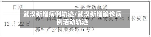 武汉新增病例轨迹/武汉新增确诊病例活动轨迹-第2张图片