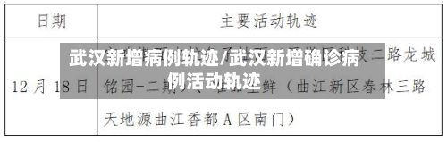 武汉新增病例轨迹/武汉新增确诊病例活动轨迹