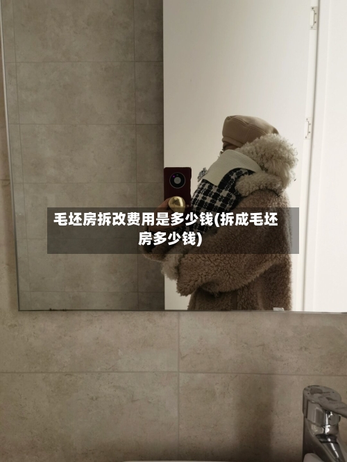 毛坯房拆改费用是多少钱(拆成毛坯房多少钱)