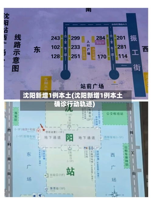 沈阳新增1例本土(沈阳新增1例本土确诊行动轨迹)
