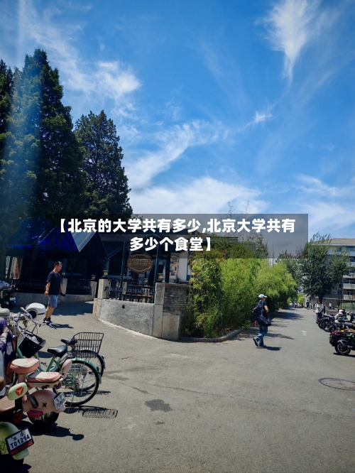 【北京的大学共有多少,北京大学共有多少个食堂】