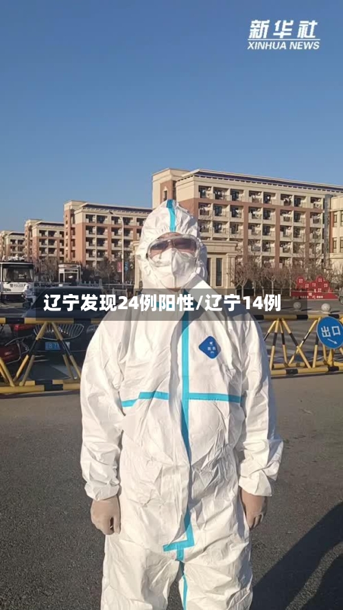 辽宁发现24例阳性/辽宁14例-第2张图片