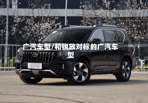 广汽车型/和锐放对标的广汽车型