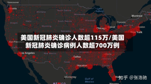 美国新冠肺炎确诊人数超115万/美国新冠肺炎确诊病例人数超700万例-第2张图片