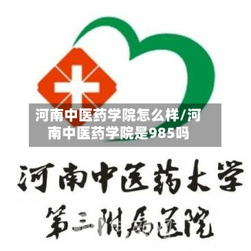 河南中医药学院怎么样/河南中医药学院是985吗-第2张图片