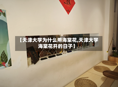 【天津大学为什么用海棠花,天津大学海棠花开的日子】