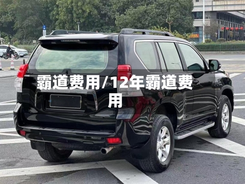 霸道费用/12年霸道费用-第3张图片