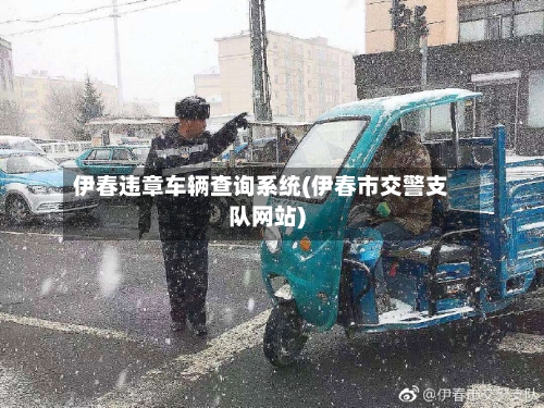 伊春违章车辆查询系统(伊春市交警支队网站)-第3张图片