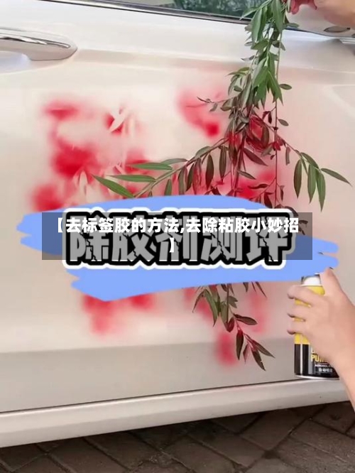 【去标签胶的方法,去除粘胶小妙招】-第2张图片