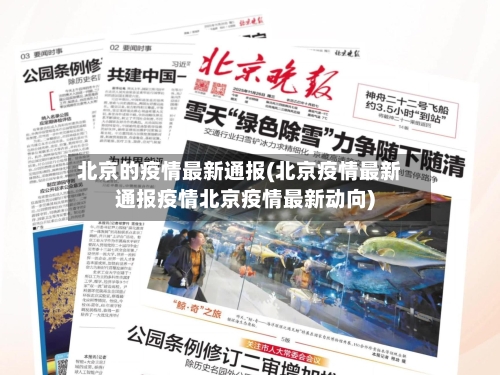 北京的疫情最新通报(北京疫情最新通报疫情北京疫情最新动向)-第2张图片