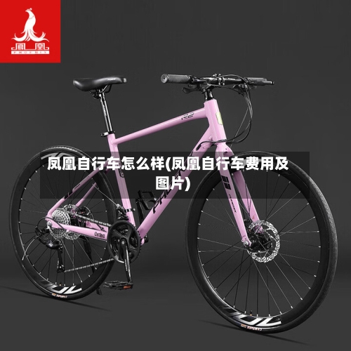 凤凰自行车怎么样(凤凰自行车费用及图片)