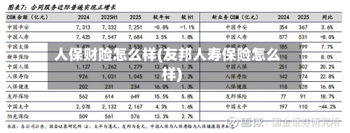 人保财险怎么样(友邦人寿保险怎么样)