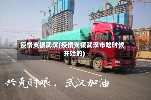 疫情支援武汉(疫情支援武汉市啥时候开始的)