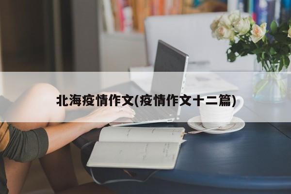北海疫情作文(疫情作文十二篇)