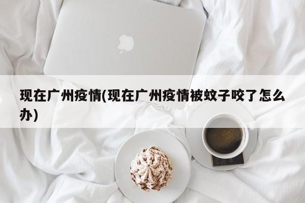 现在广州疫情(现在广州疫情被蚊子咬了怎么办)