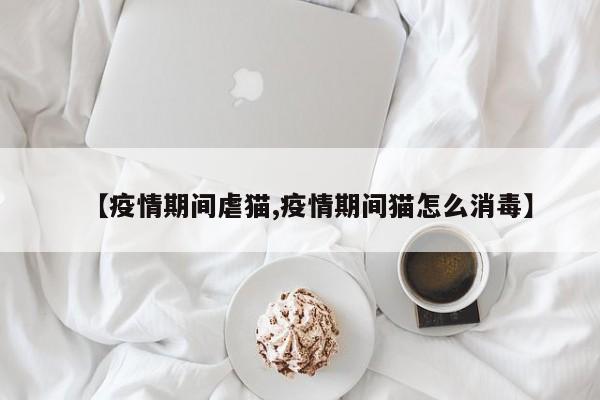 【疫情期间虐猫,疫情期间猫怎么消毒】