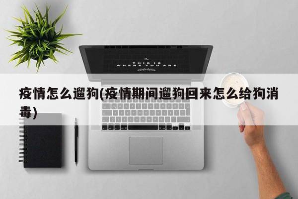 疫情怎么遛狗(疫情期间遛狗回来怎么给狗消毒)